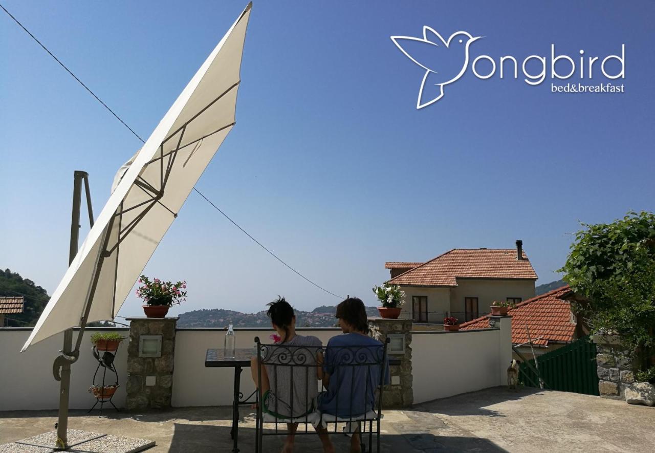 Songbird 3*