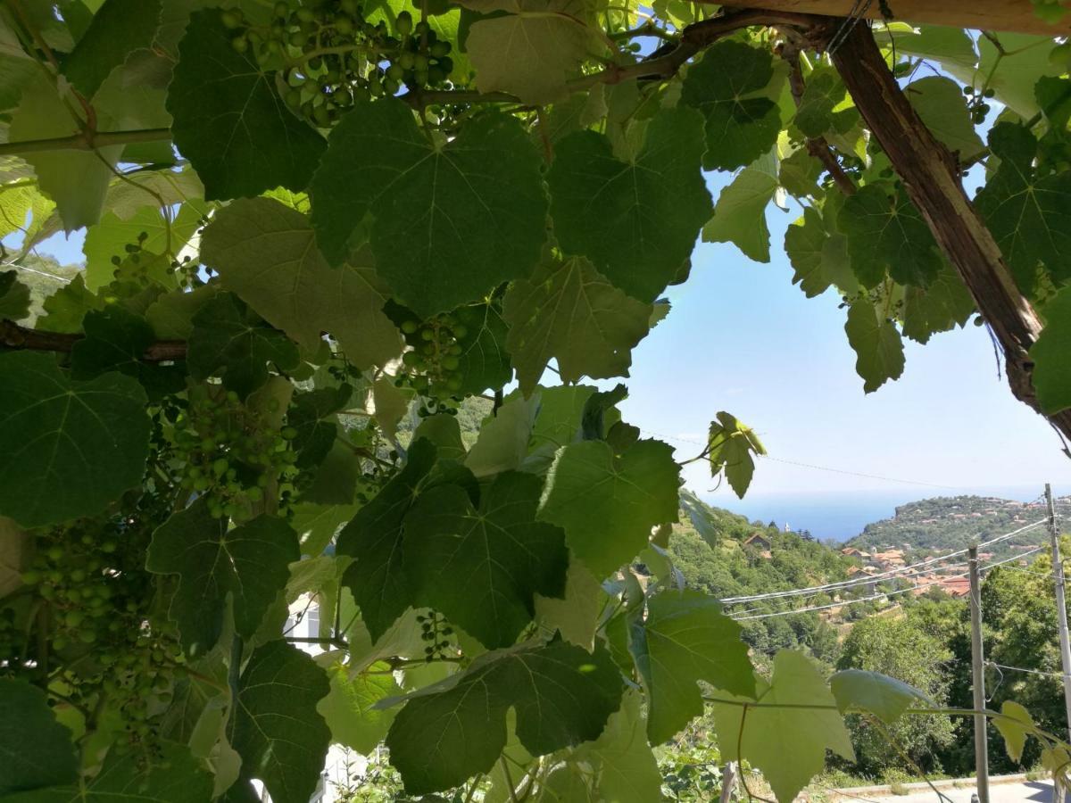Songbird 3* Agerola