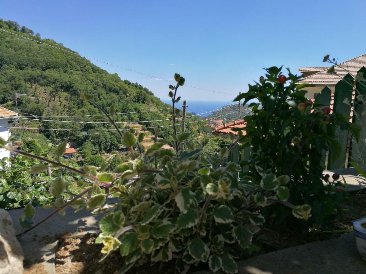 Songbird 3* Agerola